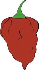 No-Heat Habanero Peppers